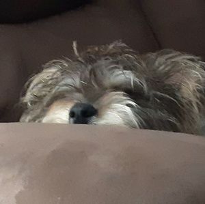 Meet your Posher, Christie